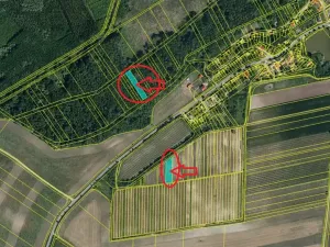 Prodej podílu sadu/vinice, Brod nad Dyjí, 2061 m2
