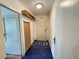Pronájem bytu 1+kk, Praha - Nusle, Bohuslava ze Švamberka, 25 m2
