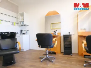 Pronájem obchodního prostoru, Ostrava - Mariánské Hory, 28. října, 25 m2
