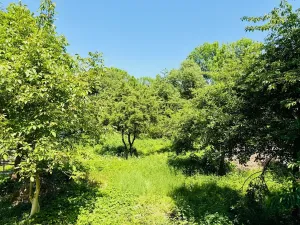 Prodej rodinného domu, Přišimasy, Skřivanská, 200 m2