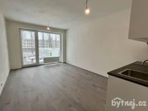 Pronájem bytu 1+kk, Vyškov - Dědice, Sídliště Osvobození, 29 m2