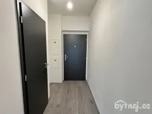 Pronájem bytu 1+kk, Vyškov - Dědice, Sídliště Osvobození, 29 m2