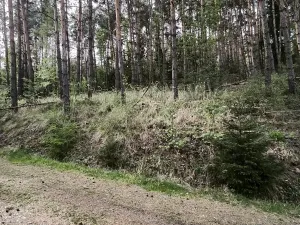 Prodej lesa, Úštěk, 9179 m2