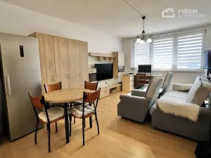 Prodej bytu 1+kk, Orlová, Na Výsluní, 33 m2