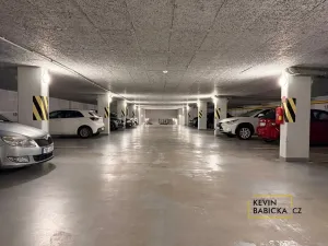 Pronájem ostatní, Brno - Královo Pole, Kosmova