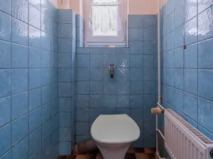 Prodej rodinného domu, Oldřišov, Hlinská, 180 m2