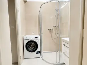 Pronájem bytu 2+kk, Praha - Vinohrady, Mánesova, 53 m2