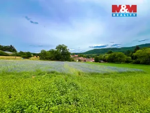 Prodej pozemku pro bydlení, Poleň, 1384 m2