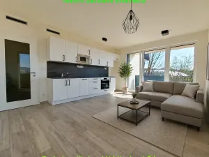 Pronájem bytu 2+kk, Praha - Modřany, Zlochova, 50 m2