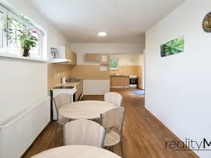 Pronájem ubytování, Dobrovice, 500 m2