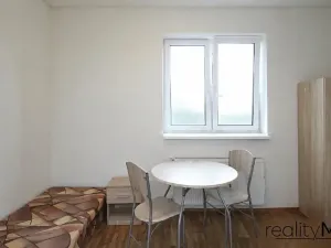 Pronájem ubytování, Dobrovice, 500 m2