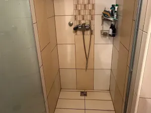 Prodej rodinného domu, Benešov nad Černou, 120 m2
