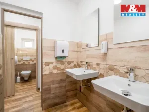 Prodej ubytování, Dubí - Cínovec, 660 m2