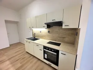 Prodej bytu 1+1, Liberec, Jablonecká, 31 m2