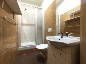 Pronájem bytu 1+1, Ostrava, Daliborova, 41 m2