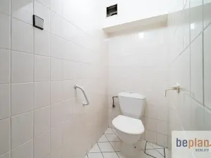 Prodej vícegeneračního domu, Merklín, 279 m2