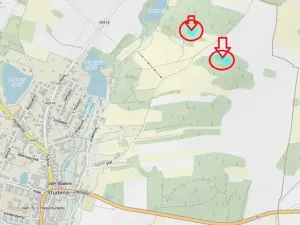 Prodej lesa, Studená, 4659 m2