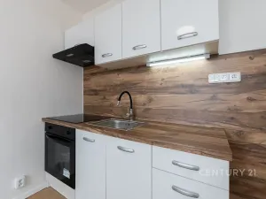 Prodej bytu 2+kk, Most, Lidická, 33 m2