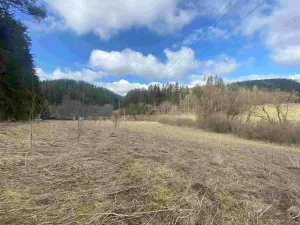 Dražba pozemku pro bydlení, Teplice nad Metují, 18922 m2