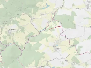 Dražba lesa, Řečice, 350 m2
