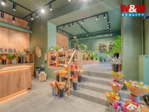 Pronájem restaurace, Plzeň - Jižní Předměstí, Americká, 145 m2