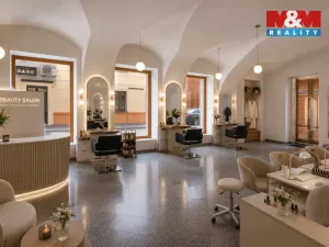 Pronájem obchodního prostoru, České Budějovice - České Budějovice 1, Hradební, 142 m2