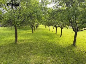 Prodej pozemku pro bydlení, Radějov, 938 m2