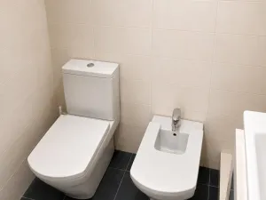 Prodej bytu 4+1, Pardubice - Zelené Předměstí, Sladkovského, 115 m2