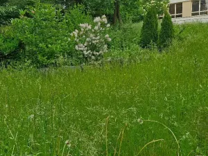 Pronájem bytu 2+1, Bruntál, Nerudova, 50 m2
