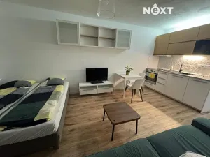 Pronájem bytu 1+kk, Karviná, Studentská, 29 m2