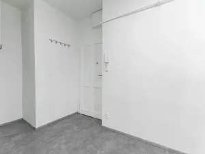 Prodej bytu 2+kk, Praha - Žižkov, Buchovcova, 46 m2