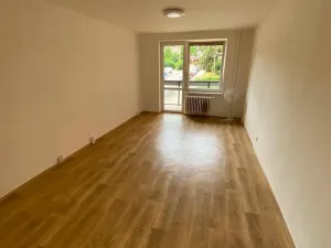 Pronájem bytu 1+1, Brno, Palackého třída, 50 m2