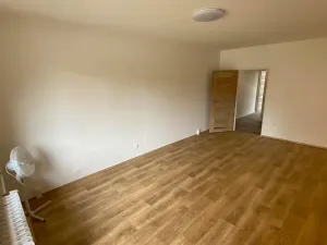 Pronájem bytu 1+1, Brno, Palackého třída, 50 m2