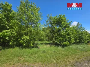 Prodej pozemku pro bydlení, Bor - Boječnice, 2517 m2