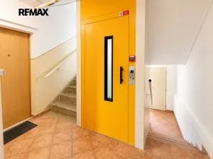 Pronájem bytu 1+1, Plzeň, Na Dlouhých, 37 m2