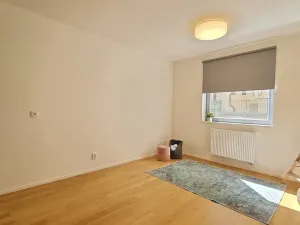 Pronájem bytu 1+kk, Brno, Mlýnská, 24 m2