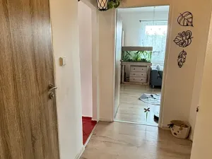 Prodej bytu 4+1, Orlová, Lesní, 78 m2