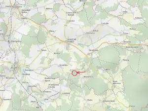 Prodej podílu lesa, Nové Mitrovice, 1057 m2