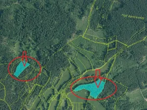 Prodej podílu lesa, Vlachovo Březí, 2714 m2