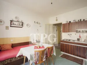 Prodej bytu 1+1, Praha - Žižkov, Baranova, 44 m2