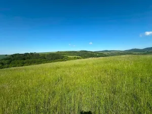 Prodej podílu louky, Buchlovice, 8138 m2