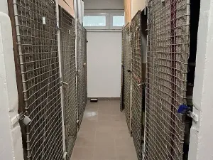 Pronájem bytu 2+1, Brno - Černá Pole, náměstí SNP, 55 m2