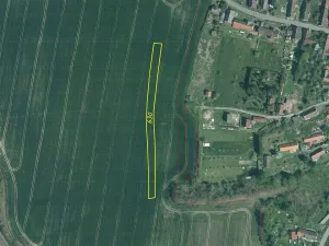 Prodej pole, Srby, 12056 m2