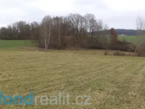 Prodej pole, Srby, 12056 m2