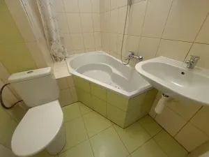 Pronájem bytu 1+1, Plzeň, Sokolovská, 40 m2