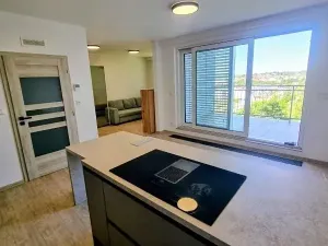 Pronájem bytu 2+kk, Jihlava, Vrchlického, 67 m2