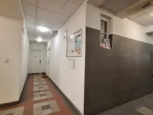 Pronájem bytu 1+1, Praha - Bubeneč, U zeměpisného ústavu, 37 m2
