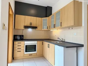 Pronájem bytu 1+kk, Brno, Křížkovského, 32 m2