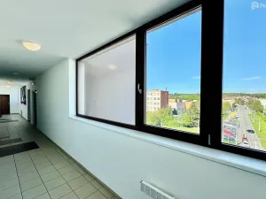 Prodej bytu 1+kk, Brno, Řípská, 47 m2