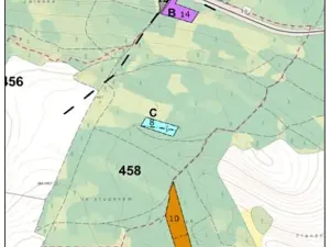 Prodej lesa, Dolní Hořice, 3496 m2
